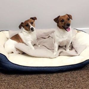 Meet your Posher, Betsy